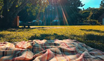 Conner Family Small Group Picnic